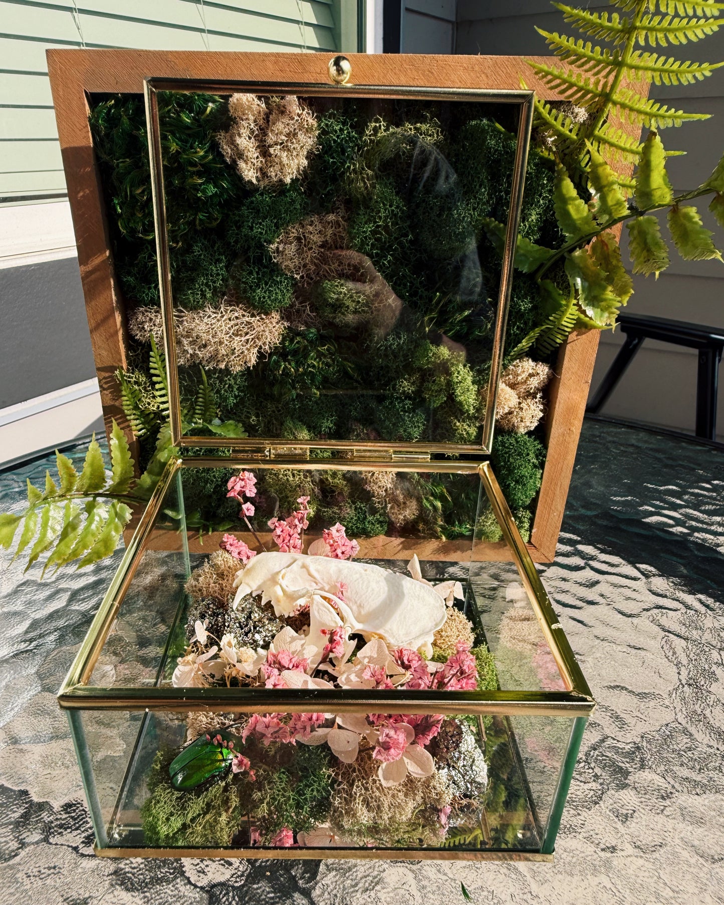 Terrarium - Mink, Pyrite, and Iridescent Beetle