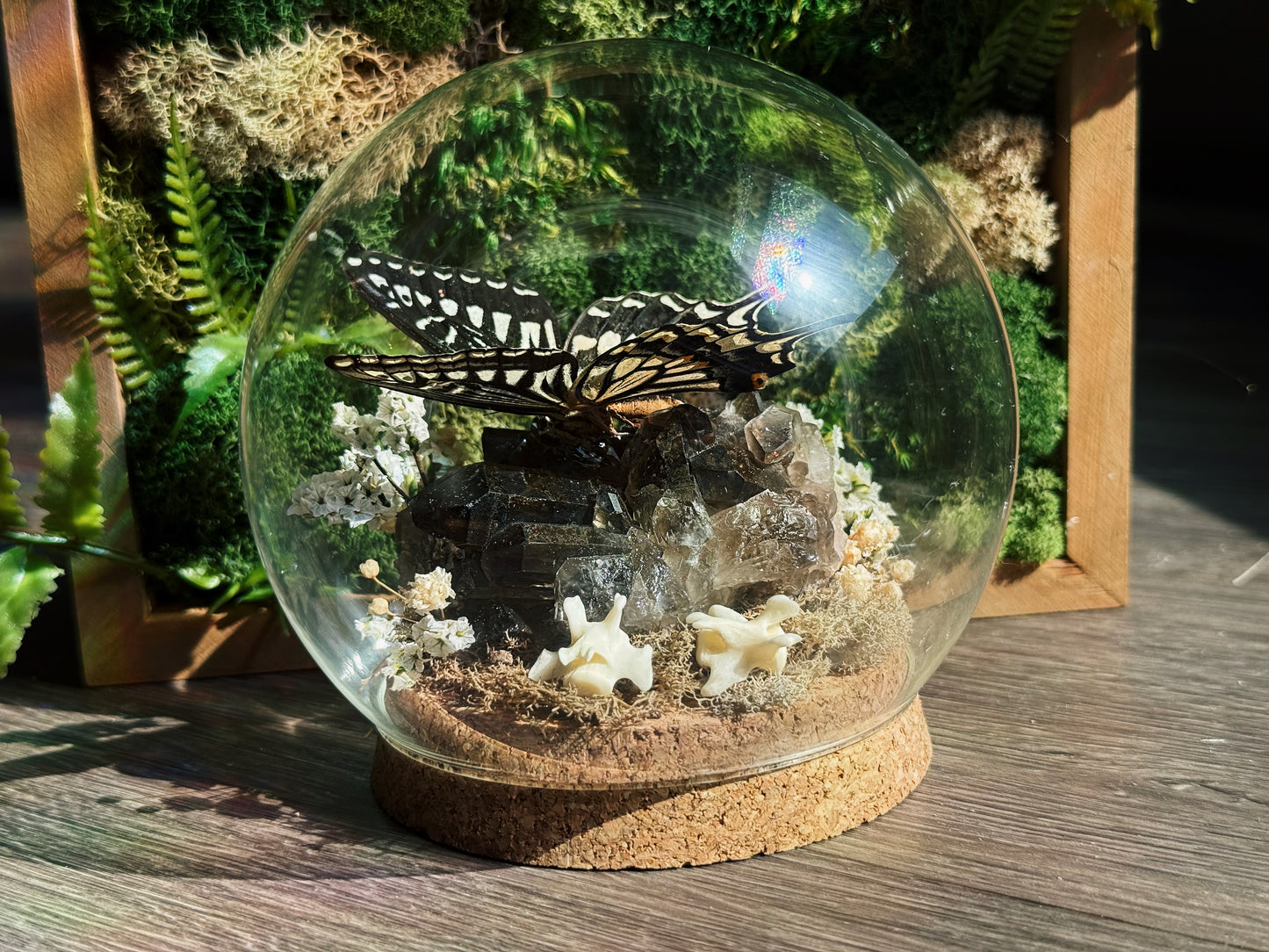Terrarium - Smokey quartz butterfly