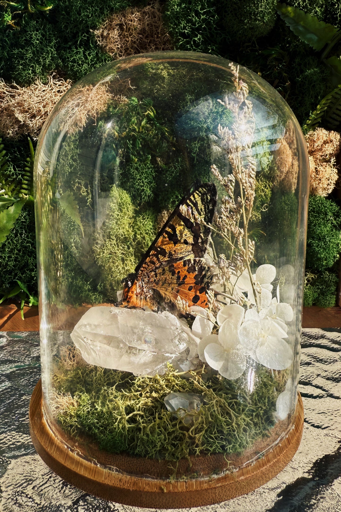 Terrarium - Clear Quartz Butterfly