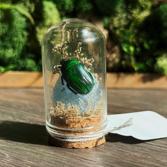 Mini Terrarium - Celestite