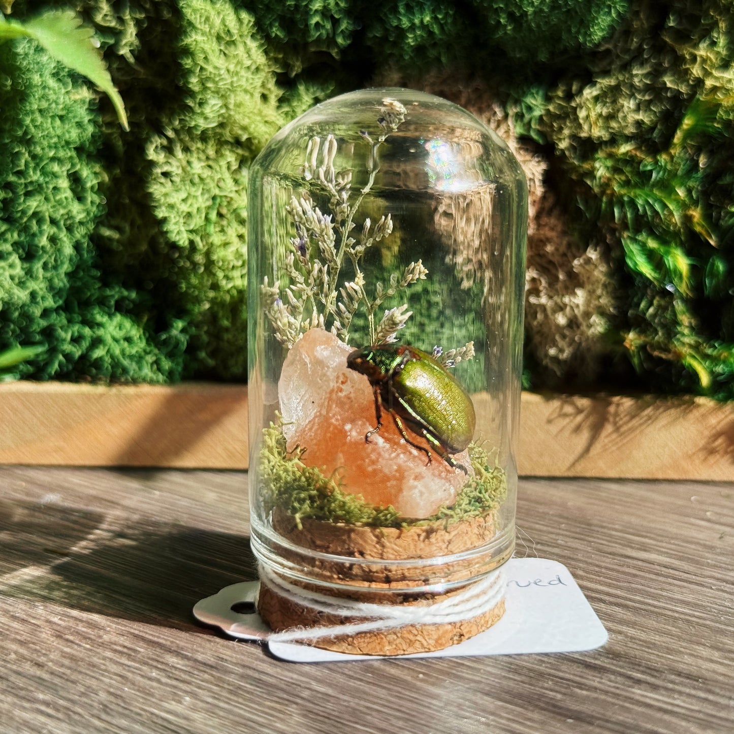 Mini Terrarium - Orange Salt Stone