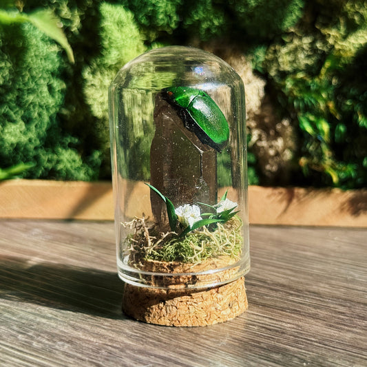 Mini Terrarium - Smokey Quartz