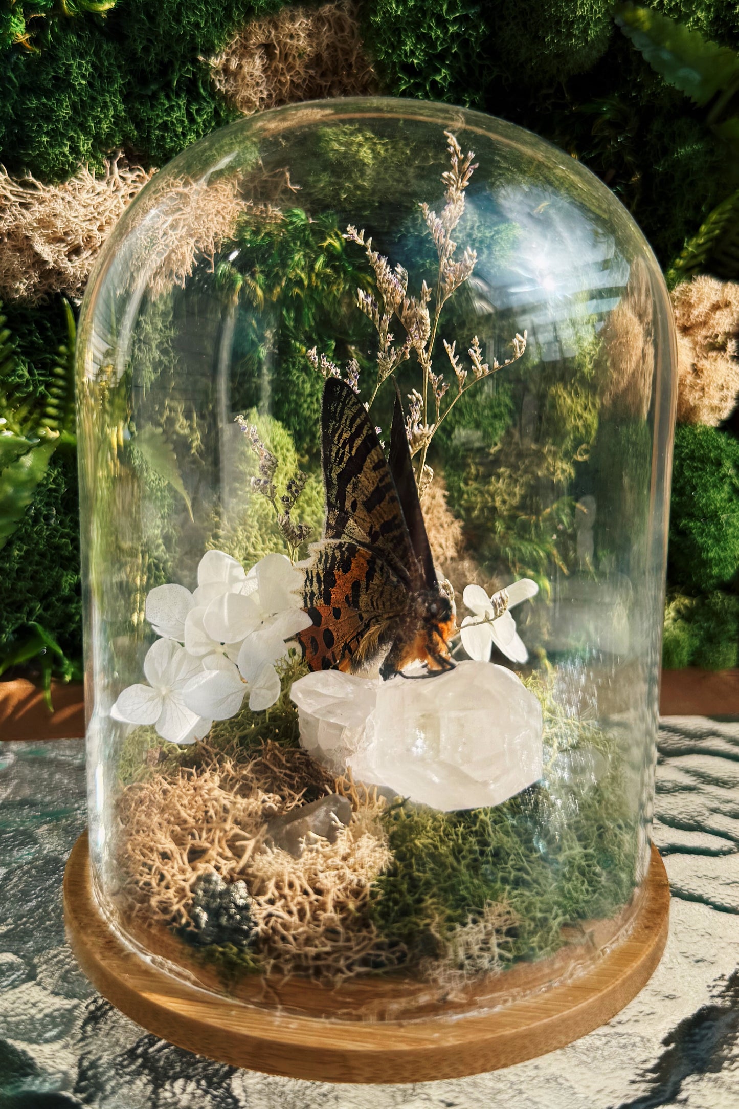 Terrarium - Clear Quartz Butterfly