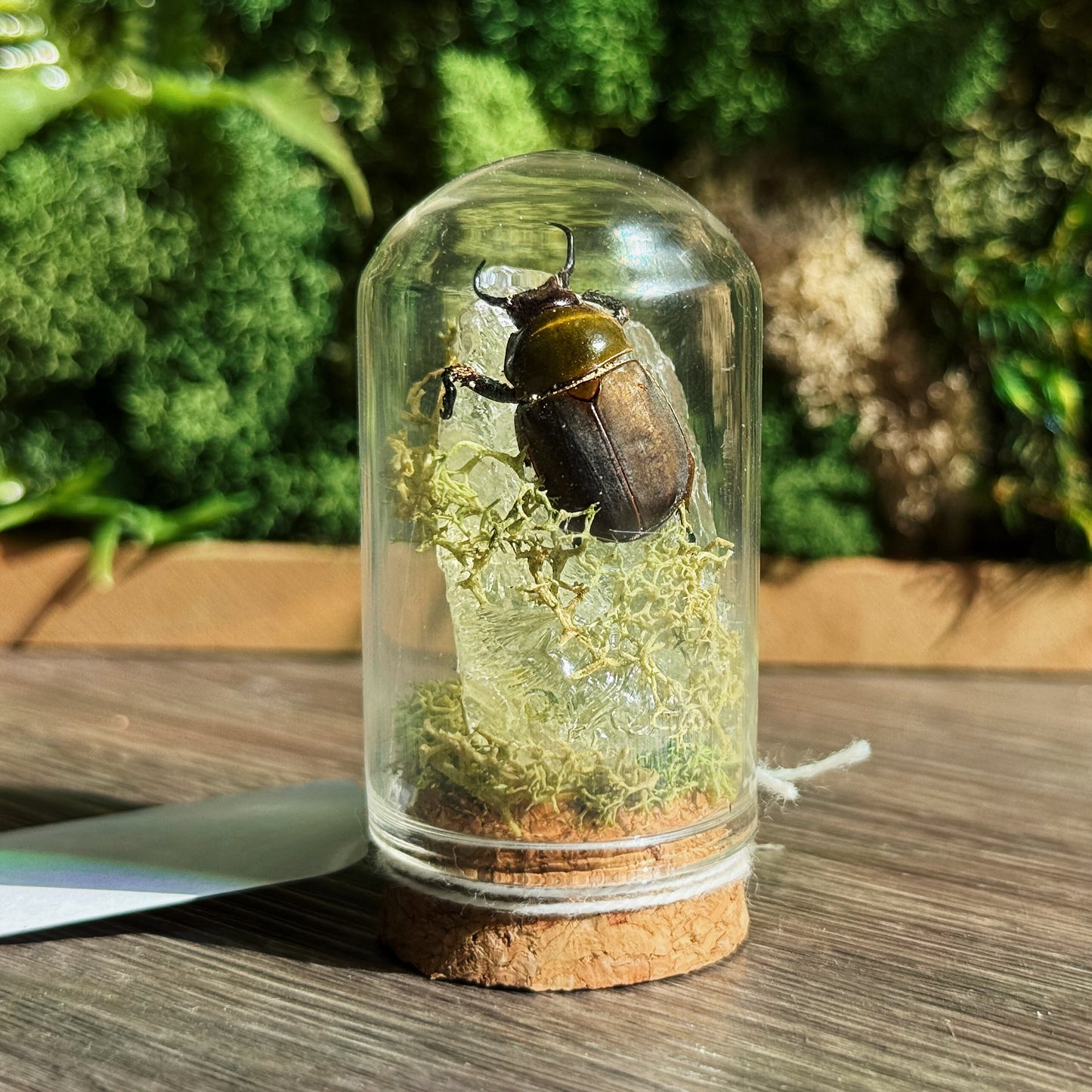 Mini Terrarium - Citrine