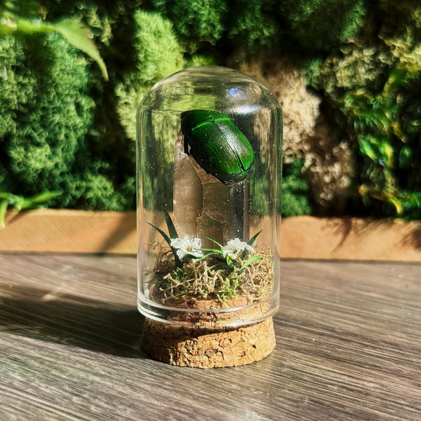 Mini Terrarium - Smokey Quartz