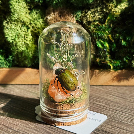 Mini Terrarium - Orange Salt Stone