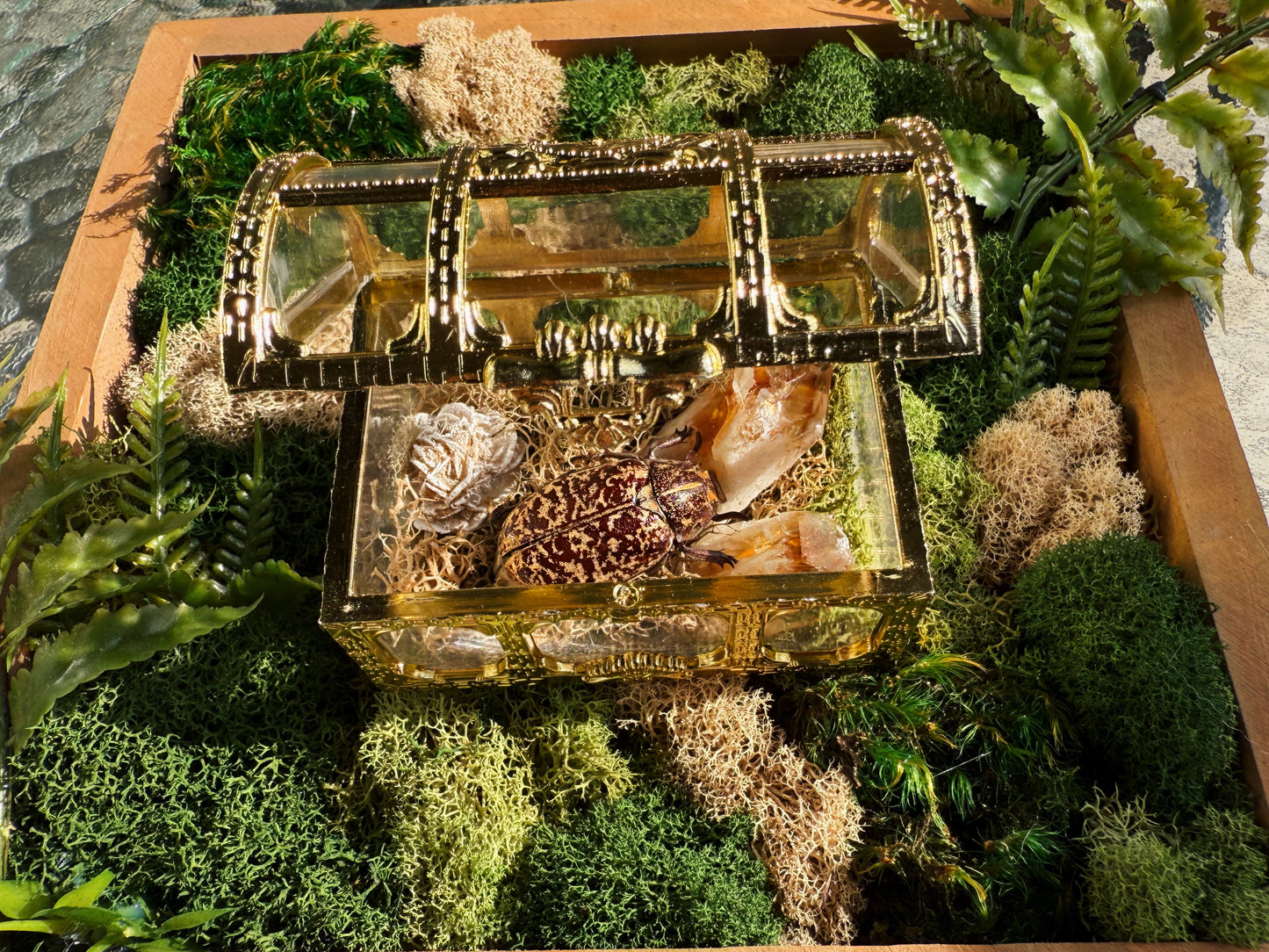 Terrarium - Brazilian Citrine Chest