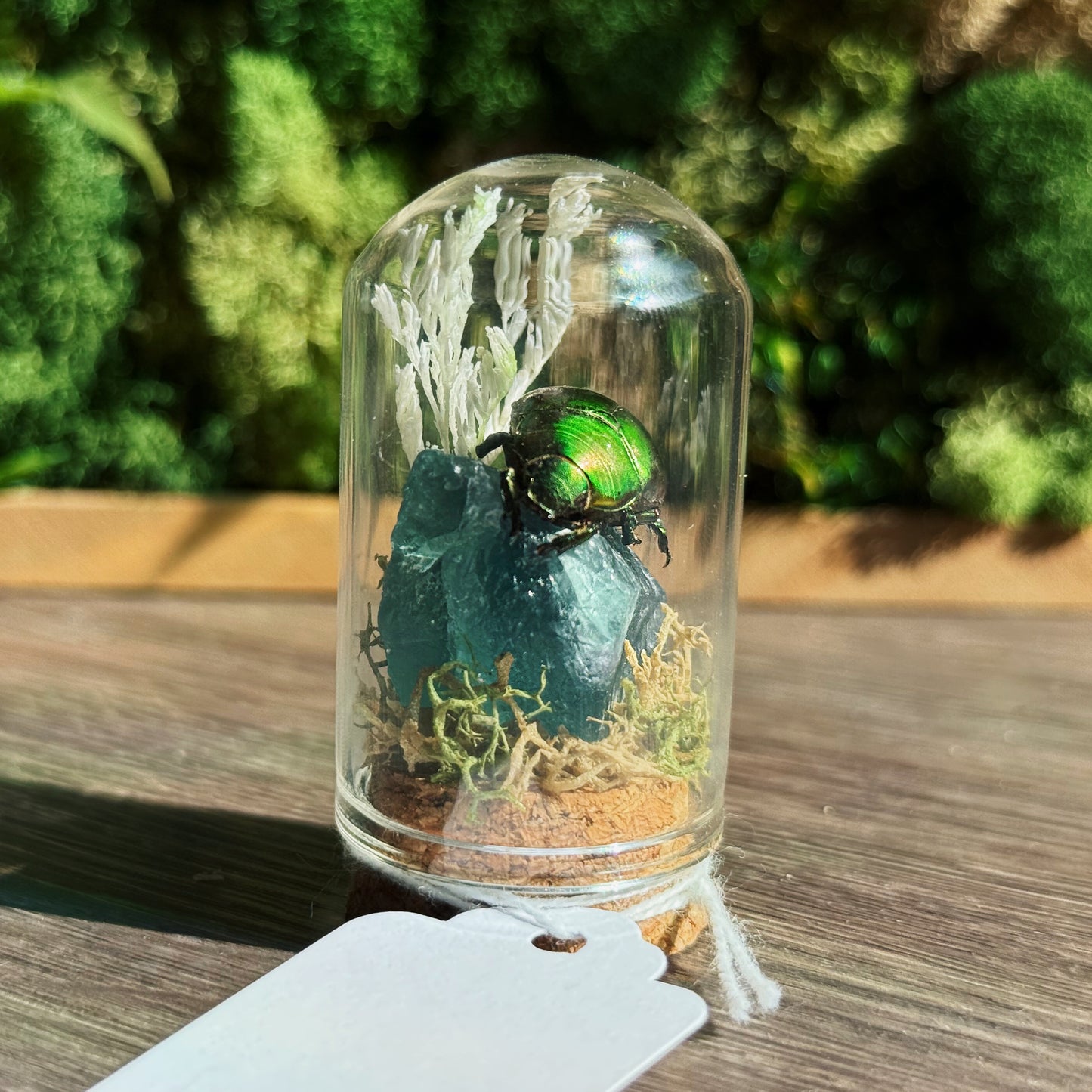 Mini Terrarium - Green Fluorite