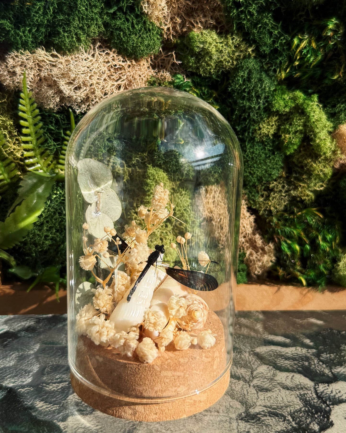 Terrarium - Shells, florals, and dragonflies
