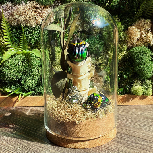 Terrarium - Pyrite, Beetle, Vertebrate