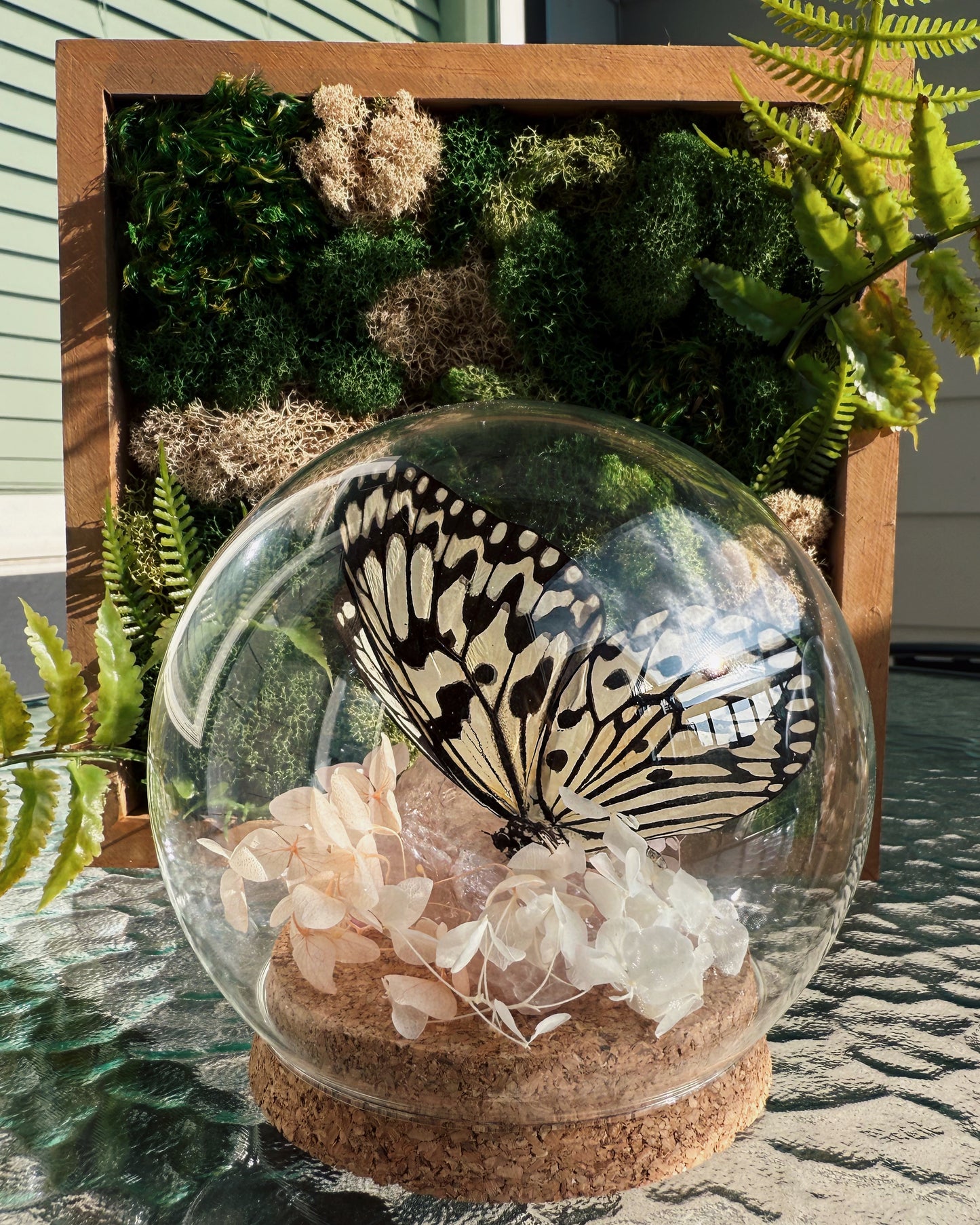 Terrarium - Rose quartz Butterfly