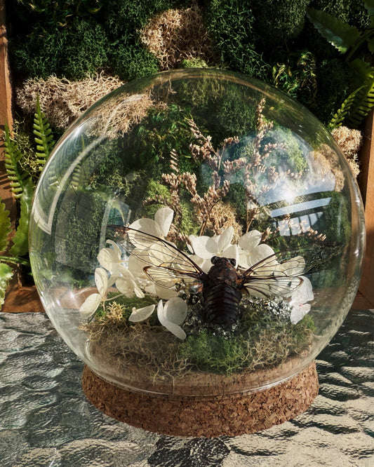 Terrarium – Moss, Pyrite & Floral Display in Glass Dome