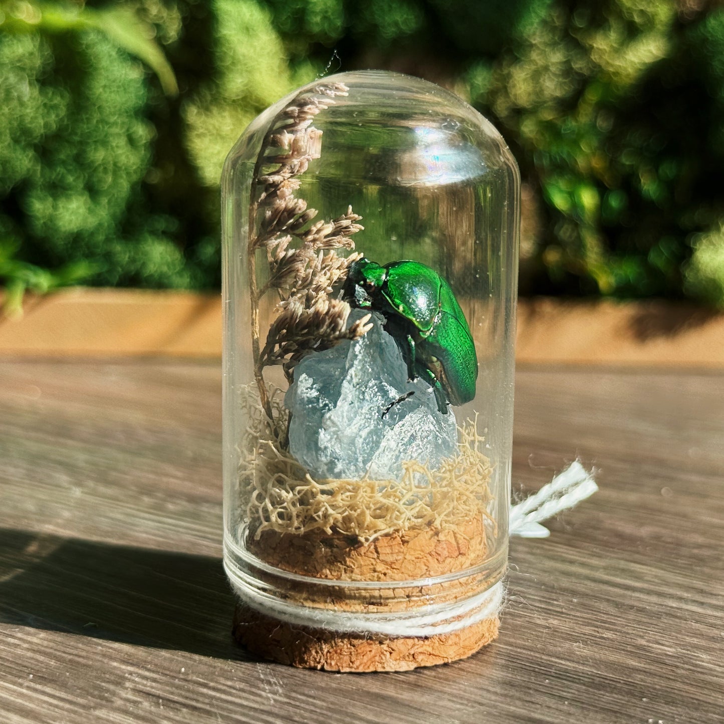 Mini Terrarium - Celestite