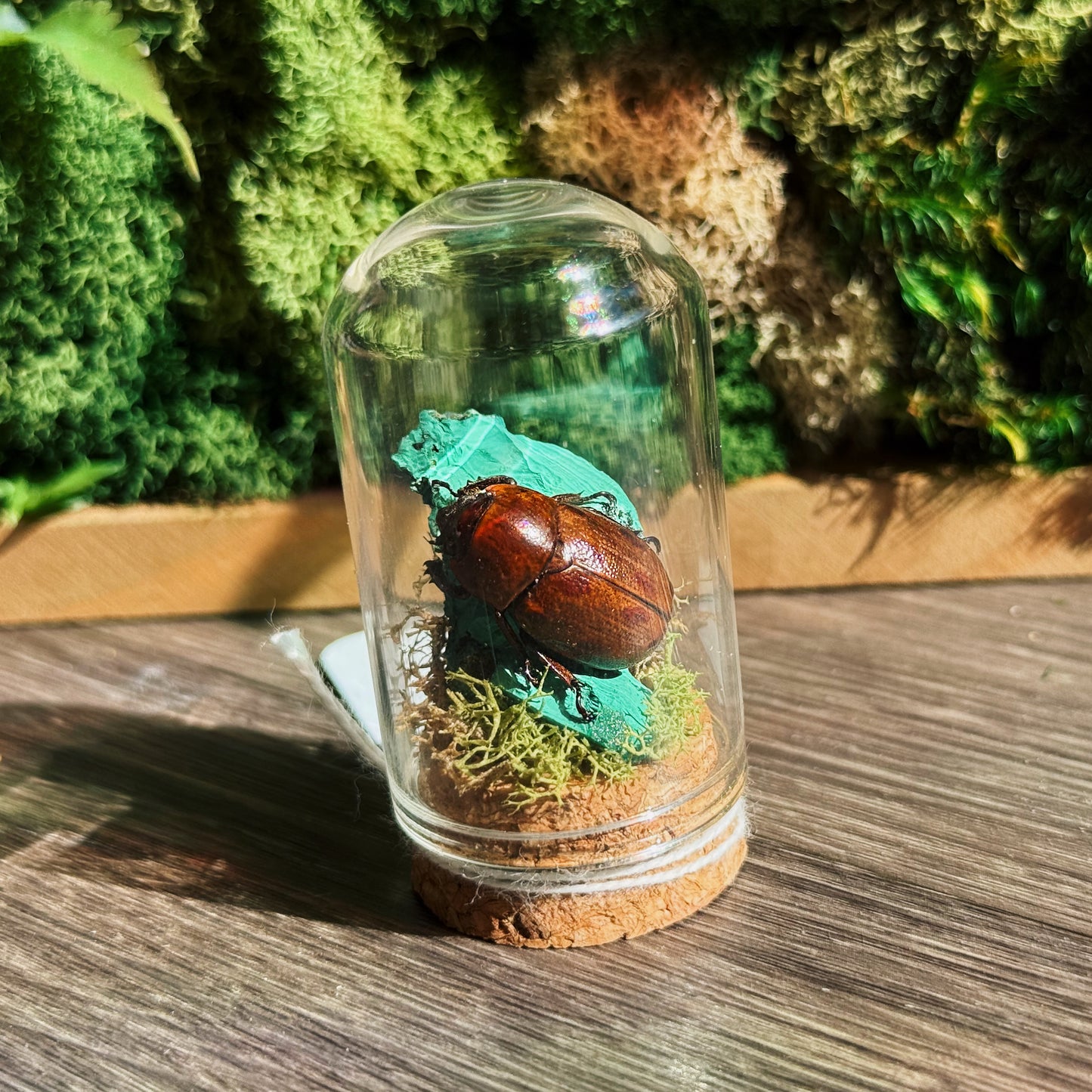 Mini Terrarium - Malachite