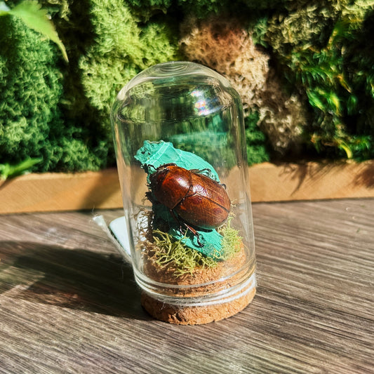 Mini Terrarium - Malachite
