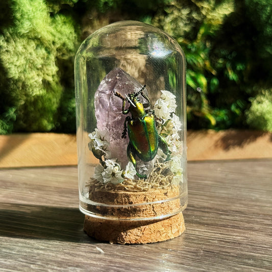 Mini Terrarium - Amethyst