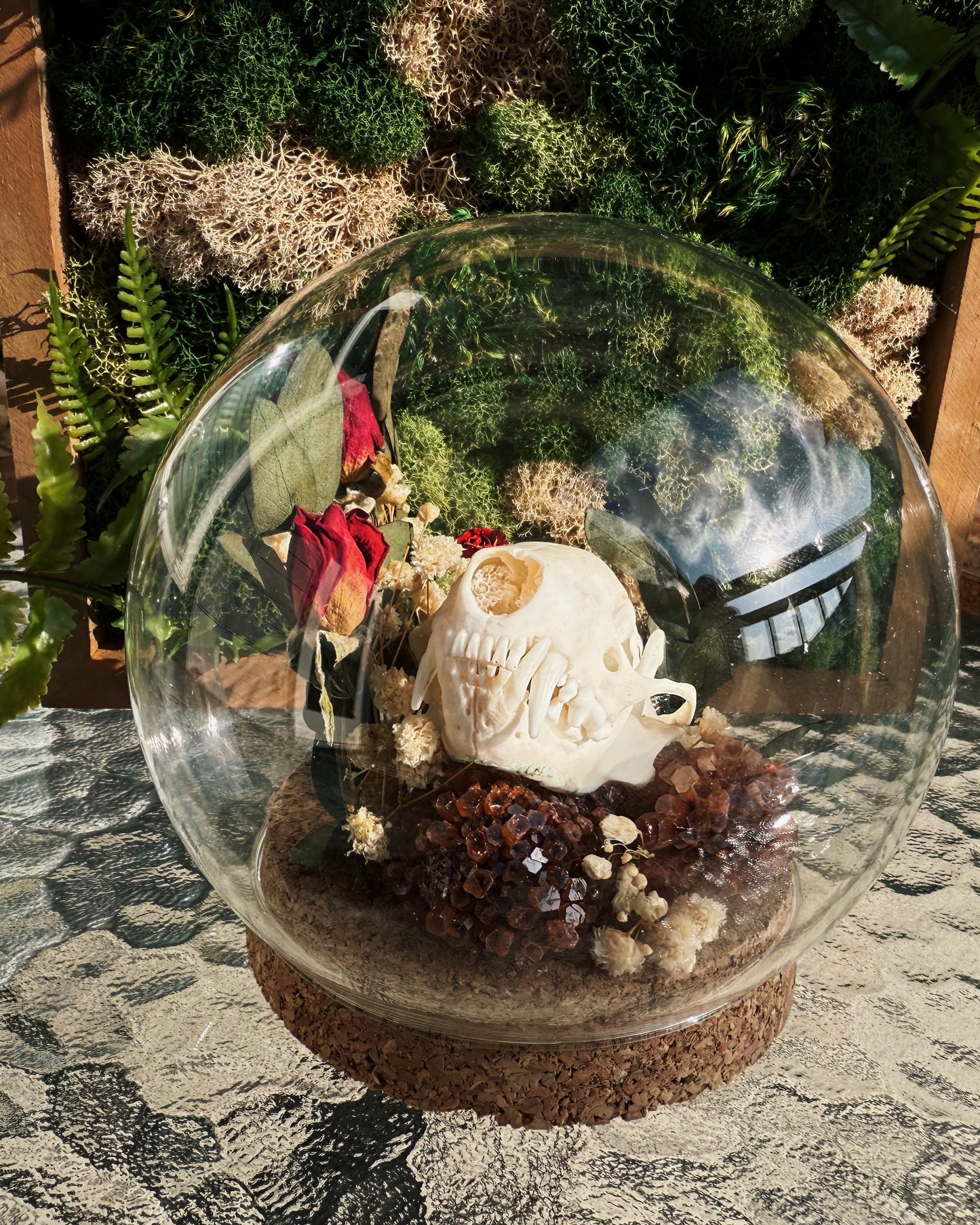 Custom Terrarium - Raccoon skull and Roses