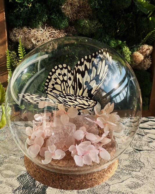 Terrarium - Rose quartz Butterfly