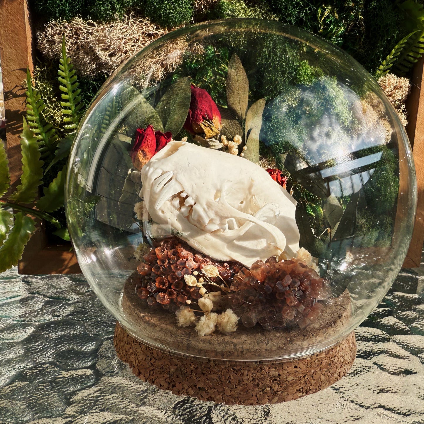 Custom Terrarium - Raccoon skull and Roses