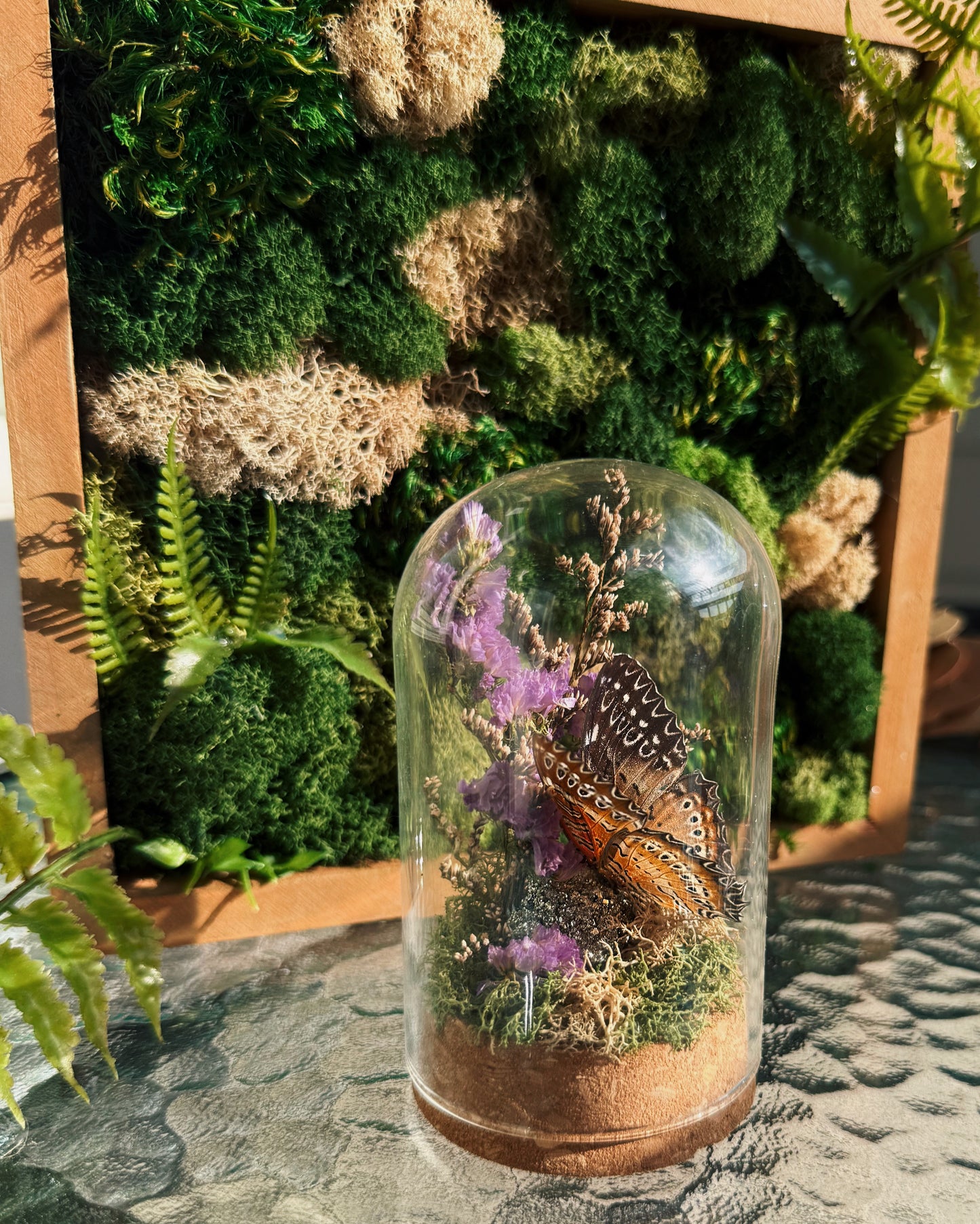 Terrarium - Purple Flora Butterfly