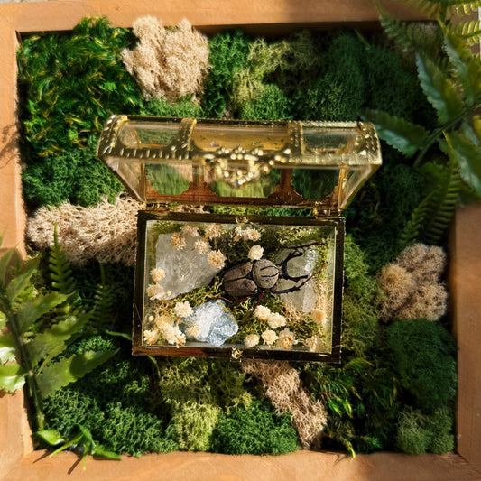 Terrarium – Handmade Crystal & Beetle Display in Gold Chest