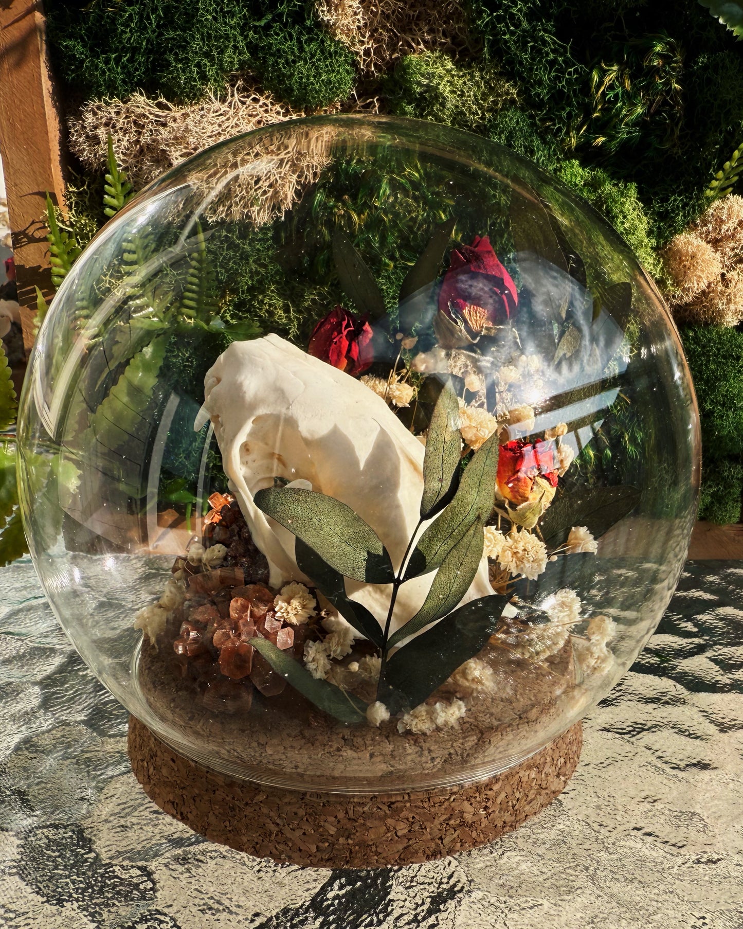 Custom Terrarium - Raccoon skull and Roses