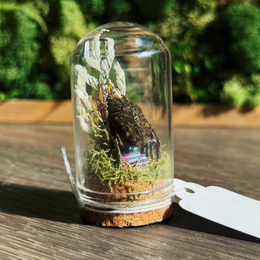 Mini Terrarium - Bismuth