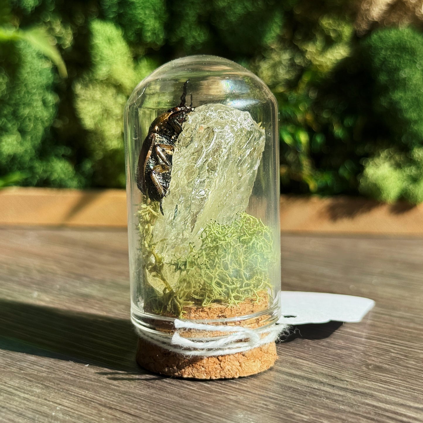 Mini Terrarium - Citrine