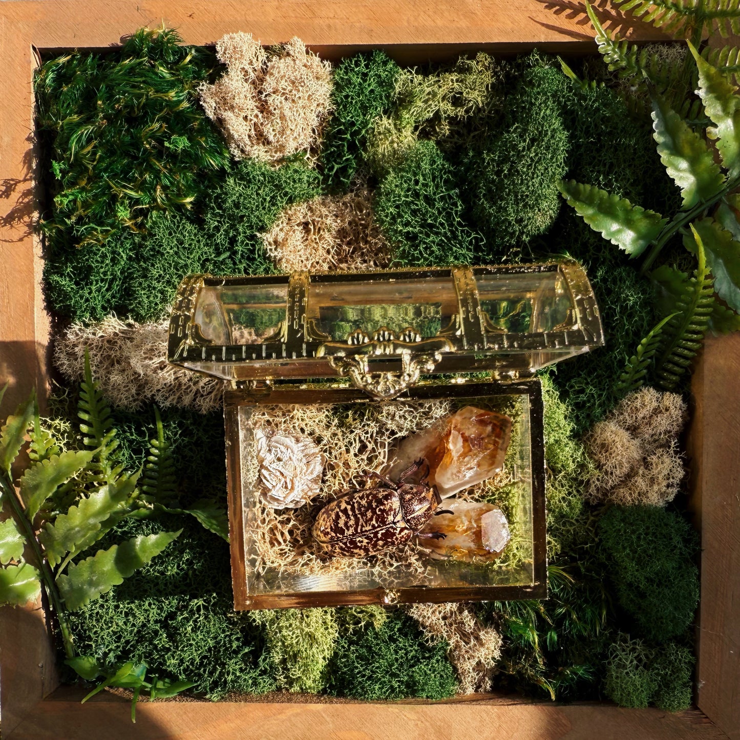 Terrarium - Brazilian Citrine Chest