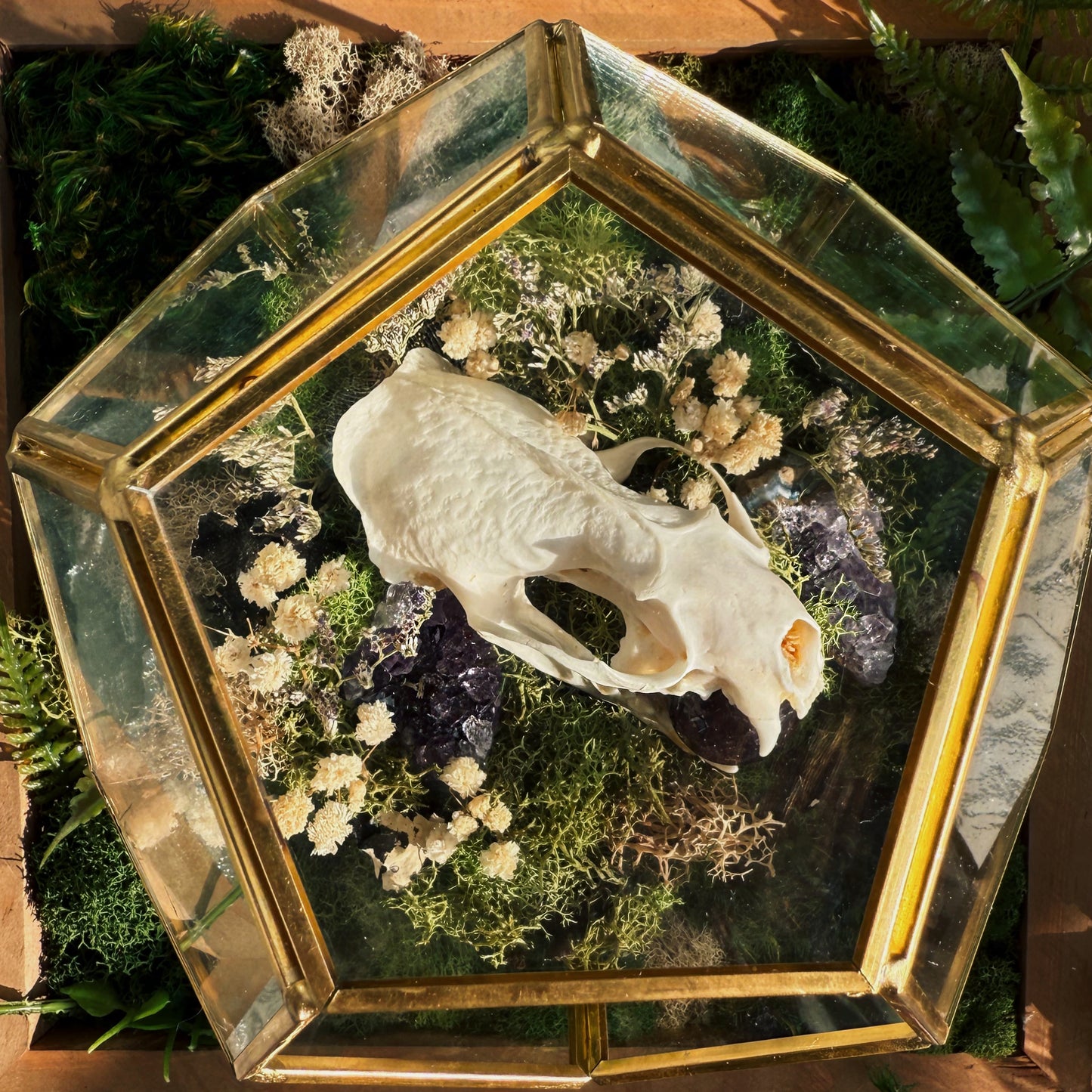 Terrarium - Mink and Amethyst with florals