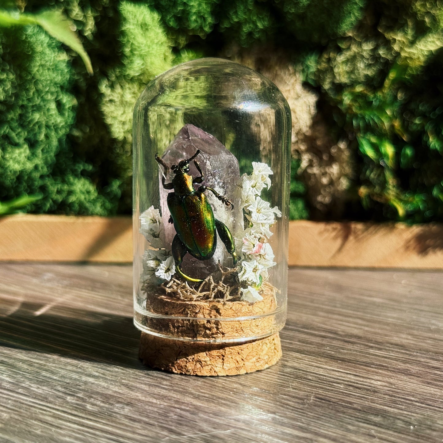 Mini Terrarium - Amethyst