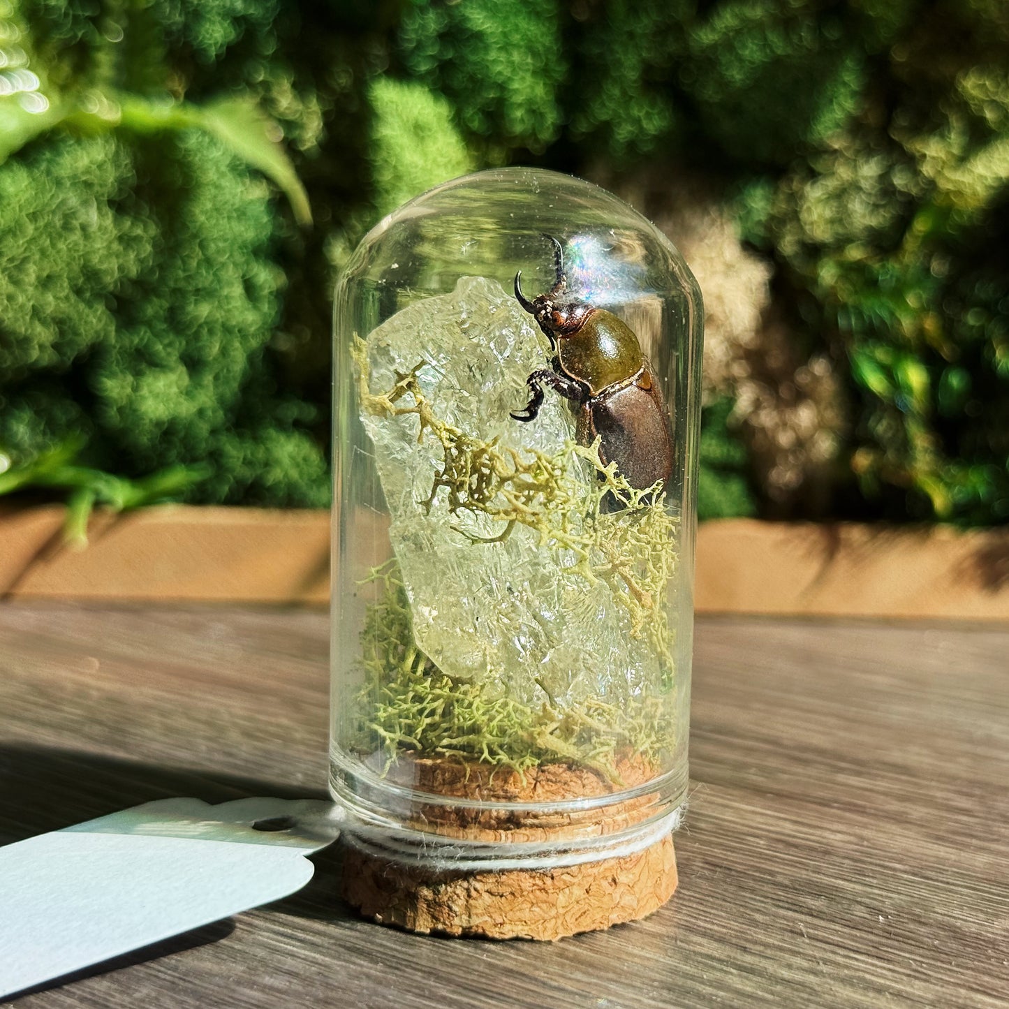 Mini Terrarium - Citrine