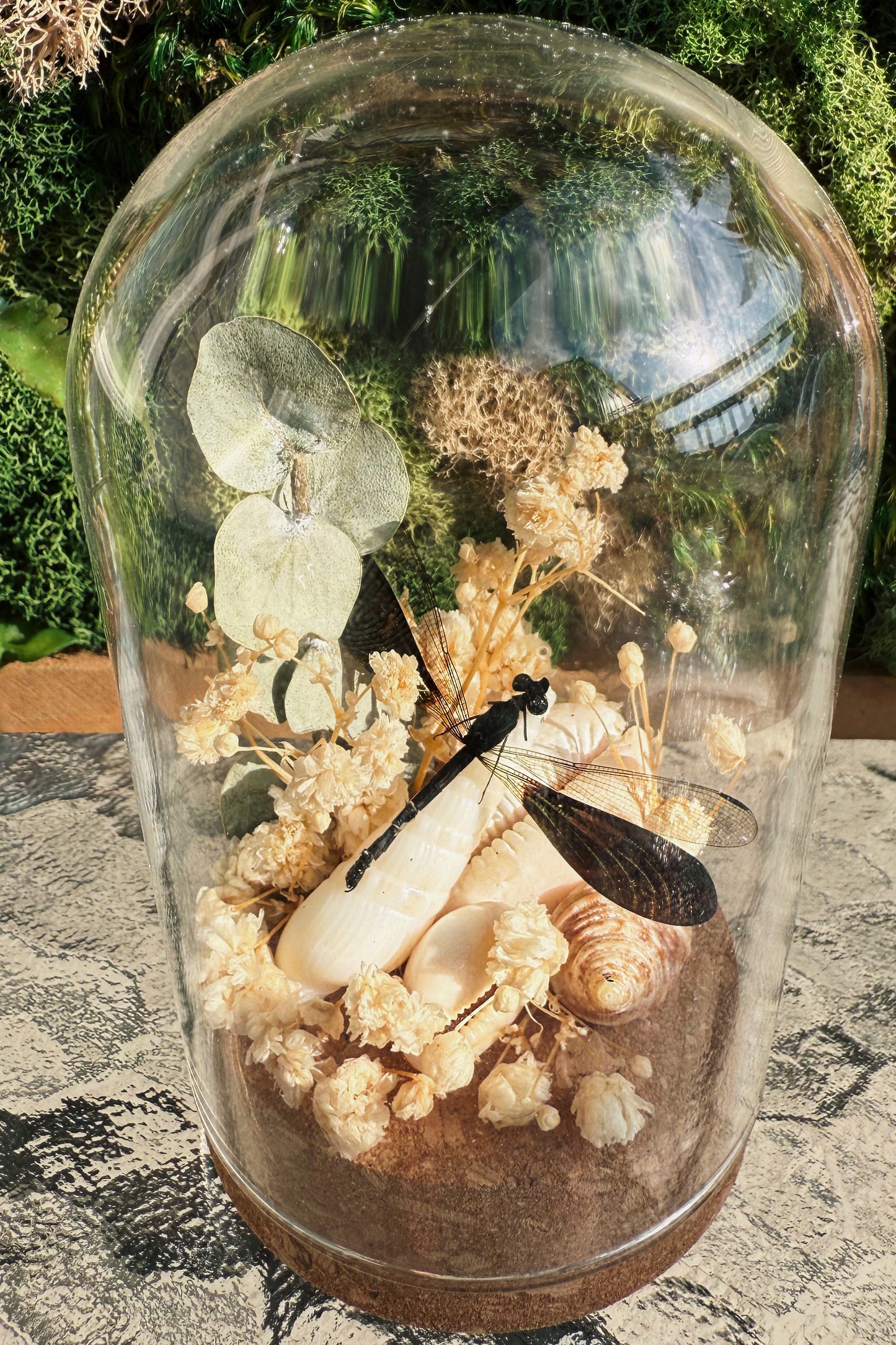 Terrarium - Shells, florals, and dragonflies