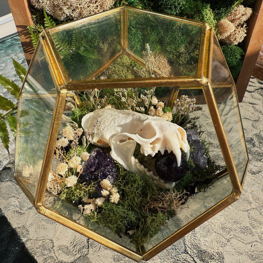 Terrarium - Mink and Amethyst with florals
