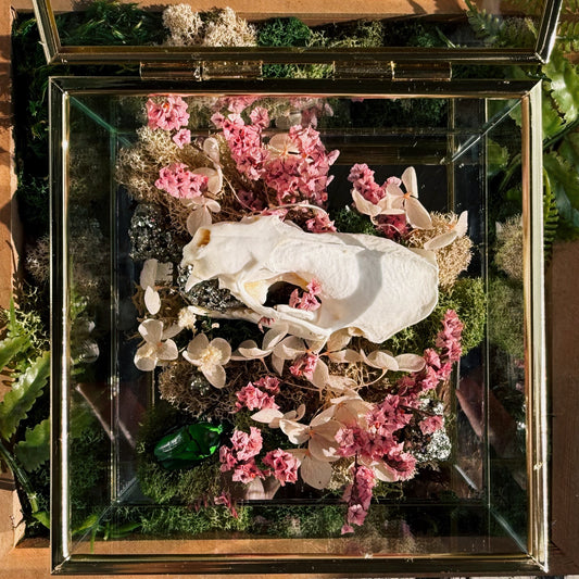 Terrarium - Mink, Pyrite, and Iridescent Beetle